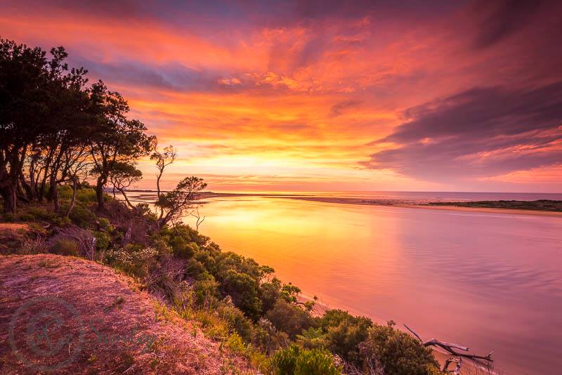 Richard Stanley Photo Gallery